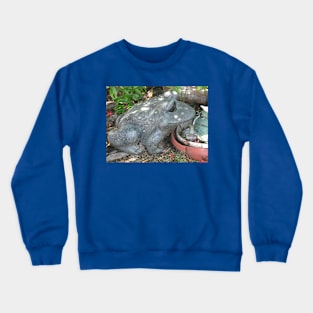 Another uneventful day Crewneck Sweatshirt